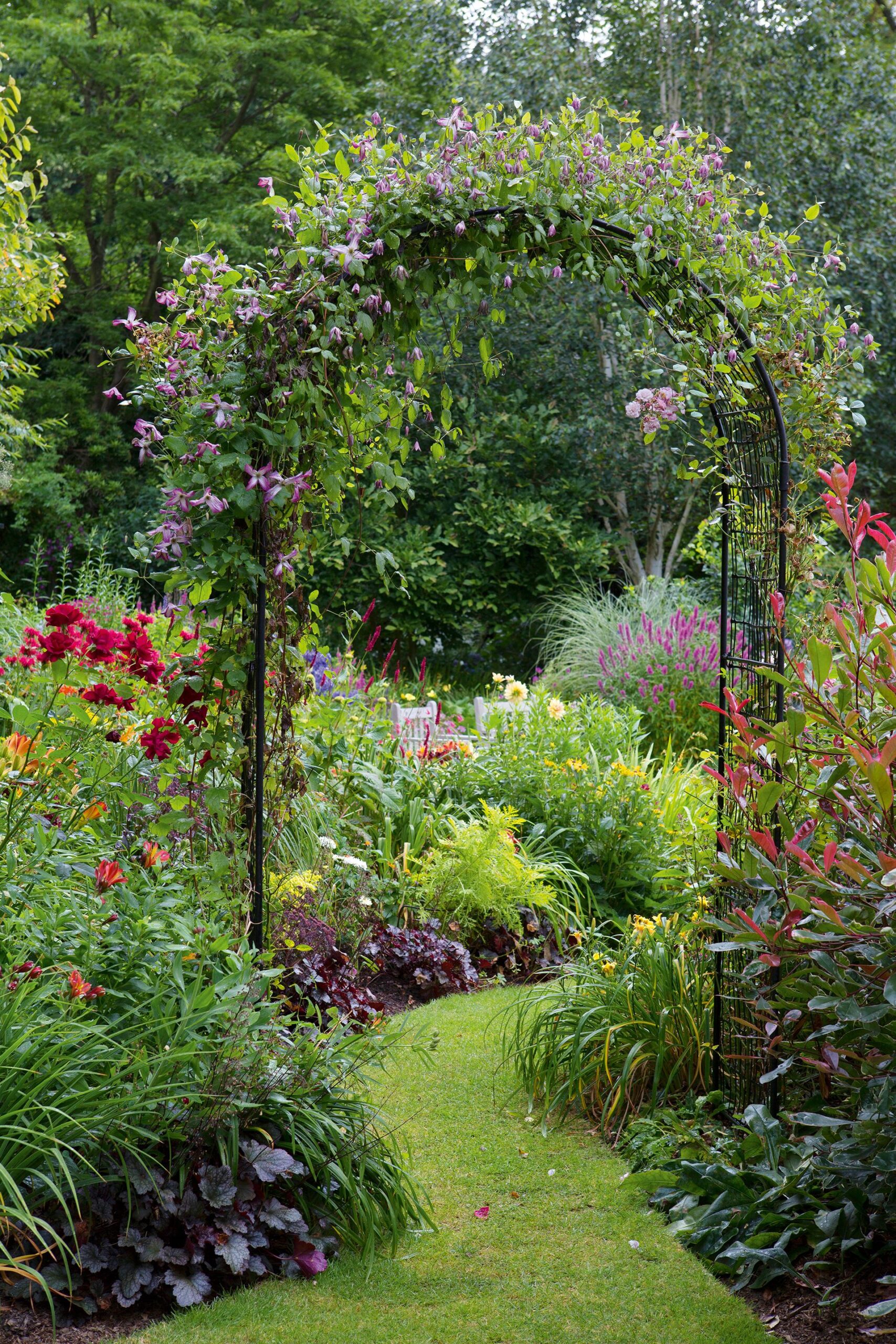 Growing a Beautiful Backyard Garden: Tips and Inspiration