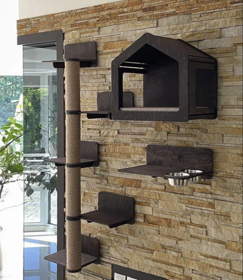 Innovative Vertical Spaces for Cats