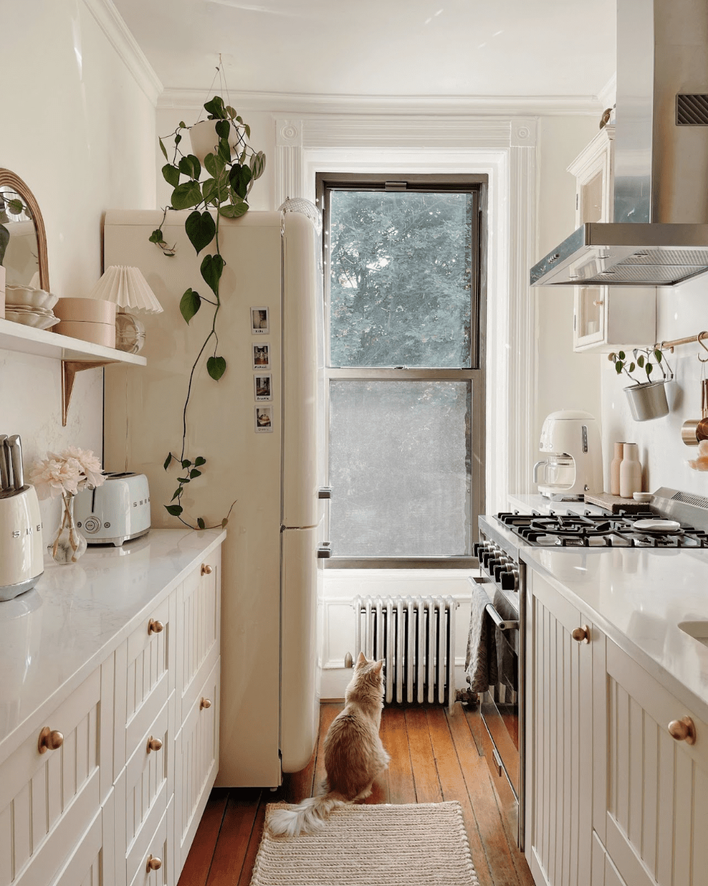 The Allure of Cream Kitchens: Timeless Elegance for Your Home