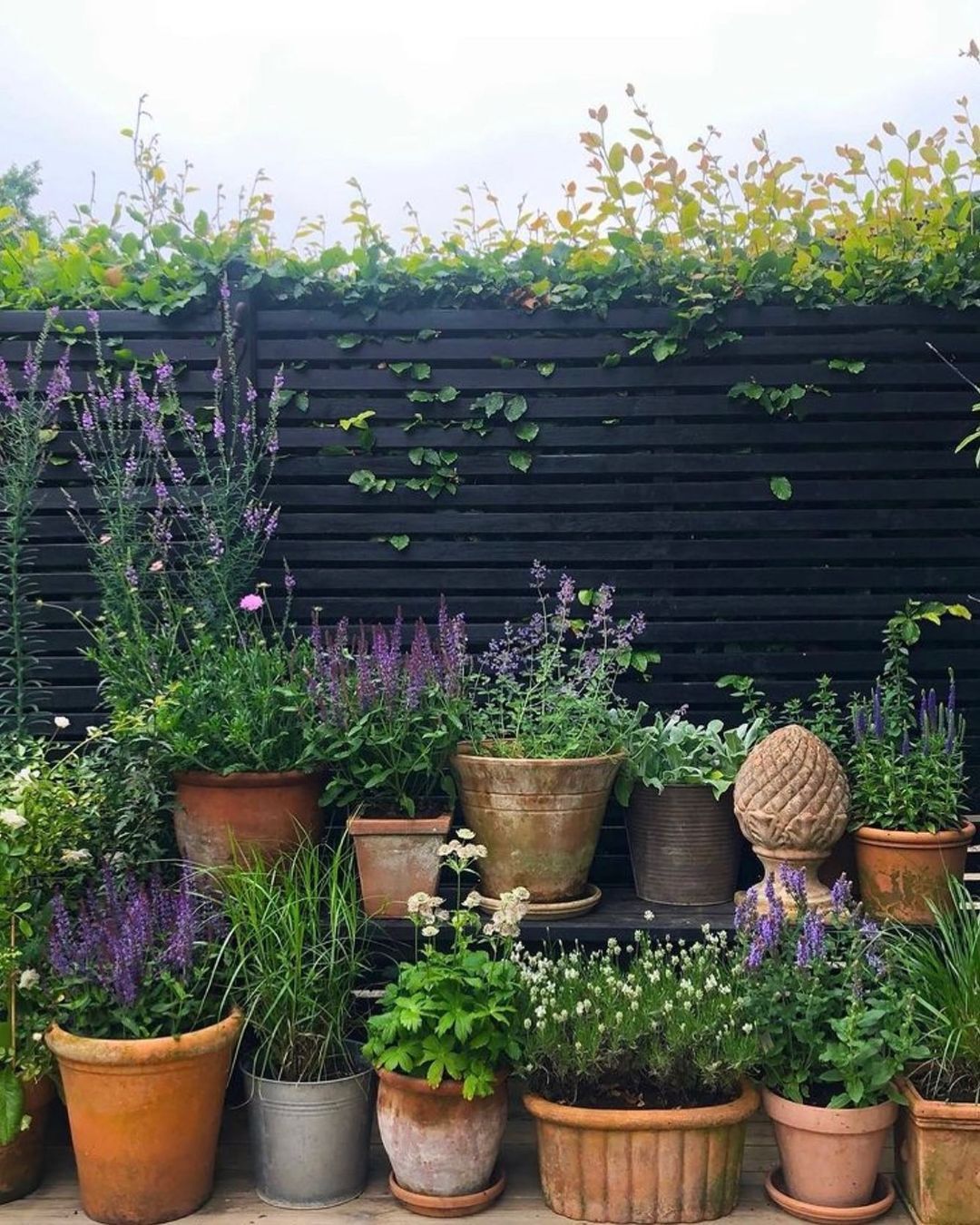 The Importance of a Beautiful Garden Fence