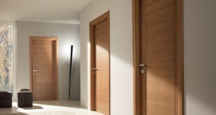 Solid Wood interior Doors