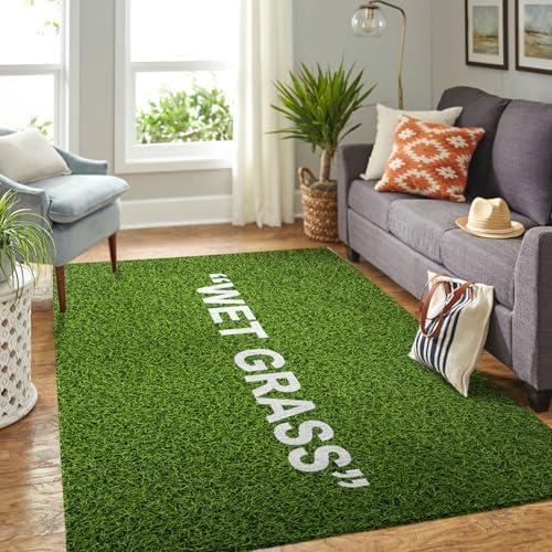 Transforming Our Spaces: A Review of the Luxurious Wet Grass Rug