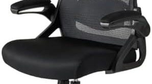 Discovering Comfort: Our Review of the Ergonomic Office Chair