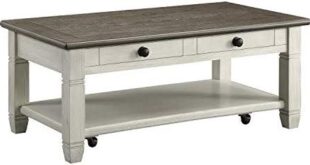 Embracing Charm: Our Take on the Lexicon Lilith Coffee Table