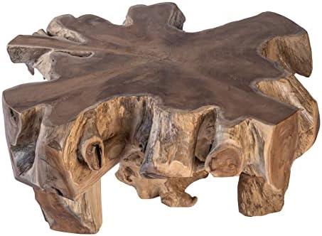 Embracing Nature: Our Experience with the Teak Root Coffee Table