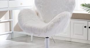 Transforming Our Space: A Review of the DUOMAY Vanity Chair