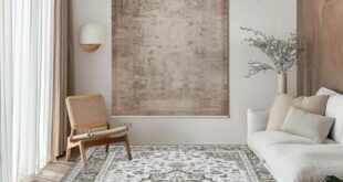 Transforming Our Spaces: A Review of the Ultimate Area Rug