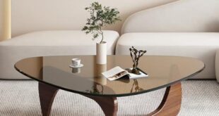 Why We Love the Triangle Glass Coffee Table: A Stylish Addition