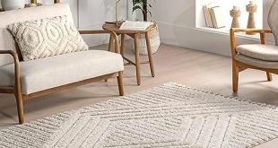 Transforming Spaces: Our Take on the nuLOOM 4×6 Shag Rug