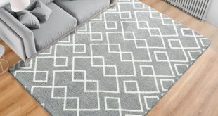 Elevate Our Space: A Review of the Toneed Geometric Rug