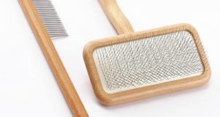 Reviving Our Carpets: A Review of the Sheepskin Wool Brush Duo