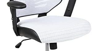 Discover Our Comfort Revolution: Reviewing the Kale Office Chair