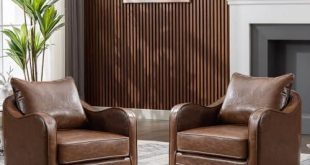 Cozy Elegance: Our Take on Simore Faux Leather Accent Chairs