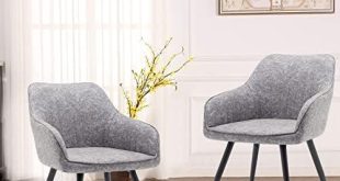 Exploring Comfort: Our Take on the Annjoe Accent Chairs