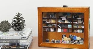 Discover Calm: Our Review of the Dpofirs Mini Bookshelf