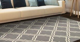 Transforming Our Space: A Review of the Double Trellis Rug