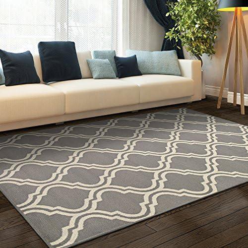 Transforming Our Space: A Review of the Double Trellis Rug