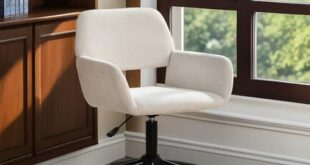 Elevate Our Workspace: A Review of the Homy Casa Office Chair