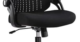 Discover Our Experience with the Ultimate Ergonomic Desk Chair!