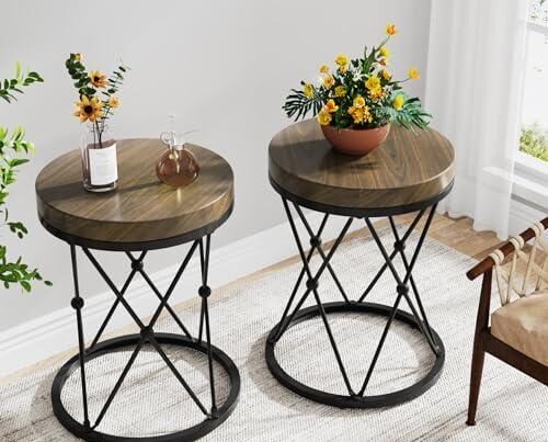 Discovering Style and Function: Our Review of Tribesigns End Table