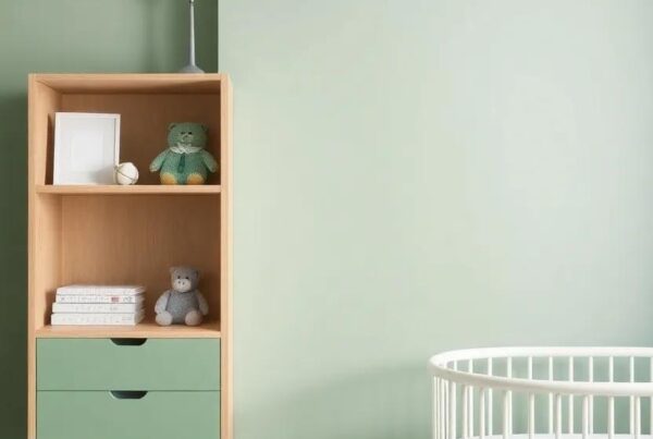 Transforming Spaces: The Charming Appeal of a Green and Grey Boys’ Nursery Design