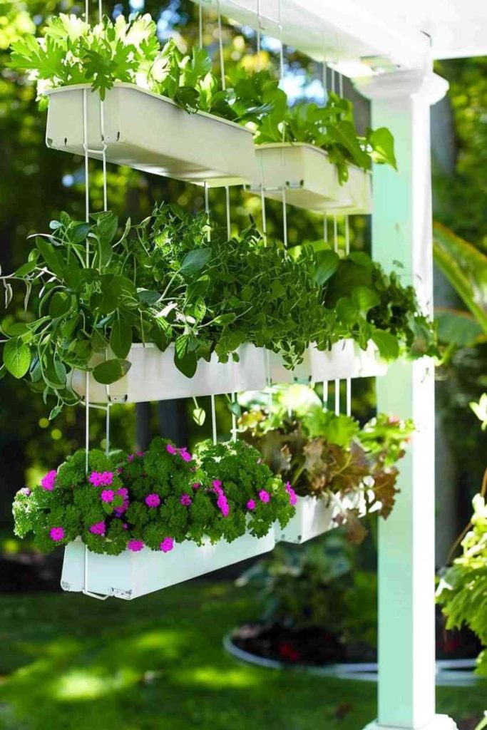 White gutters hang from the porch ceiling, a novel approach to nurturing dangling herbs like parsley and sage.