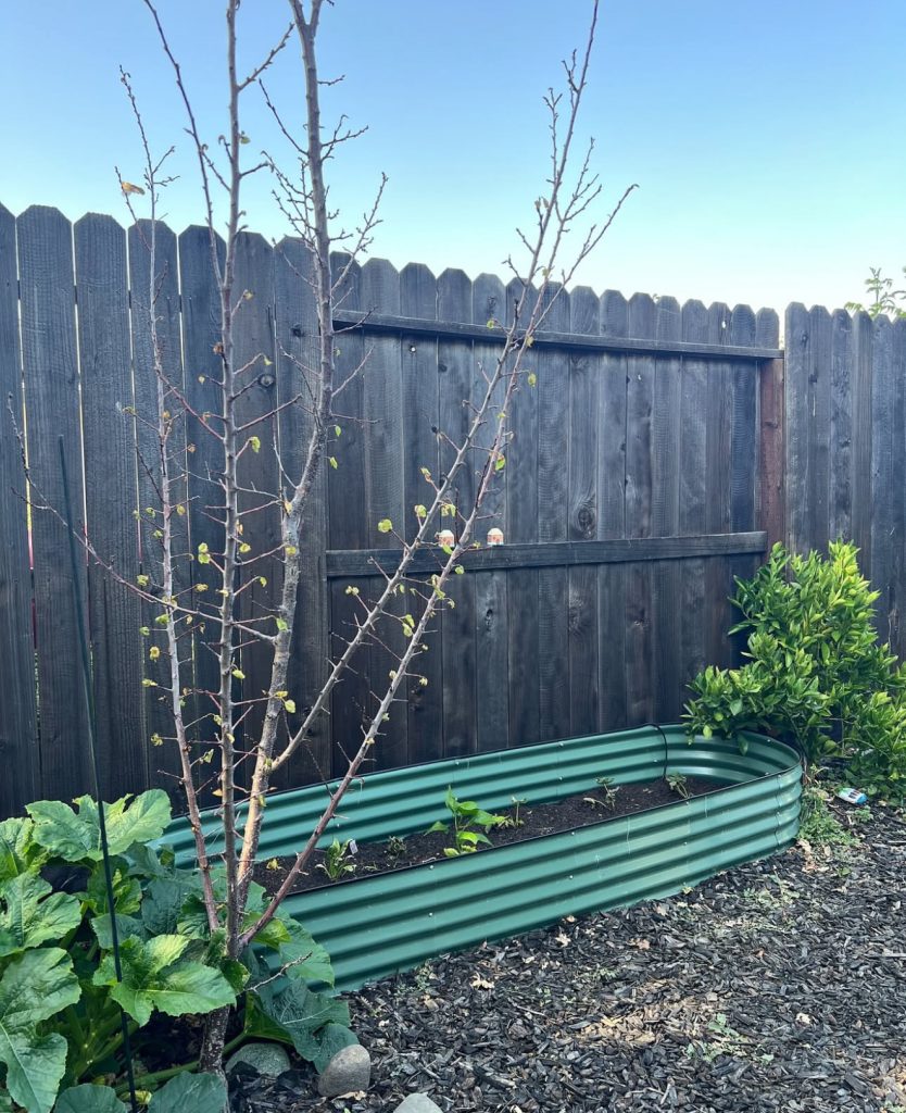 Weathered fence with raised garden bed