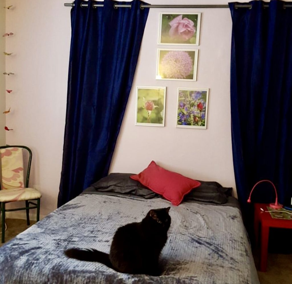 Nature photography and navy curtains