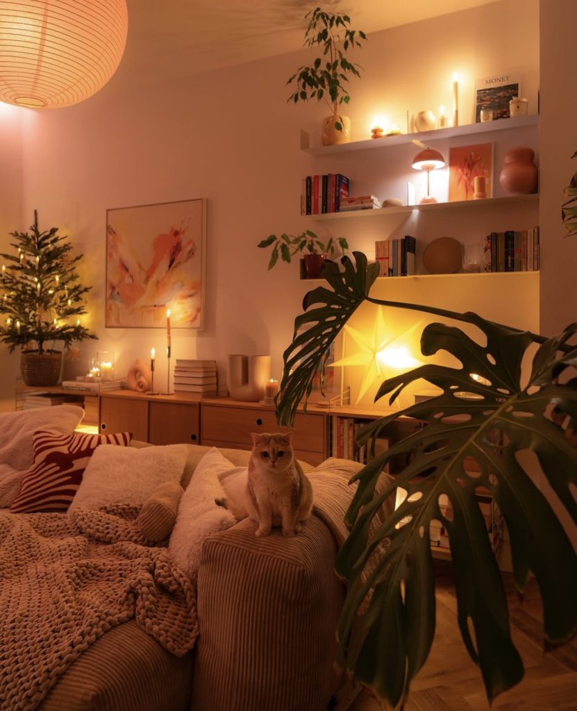 Cozy moody holiday living room