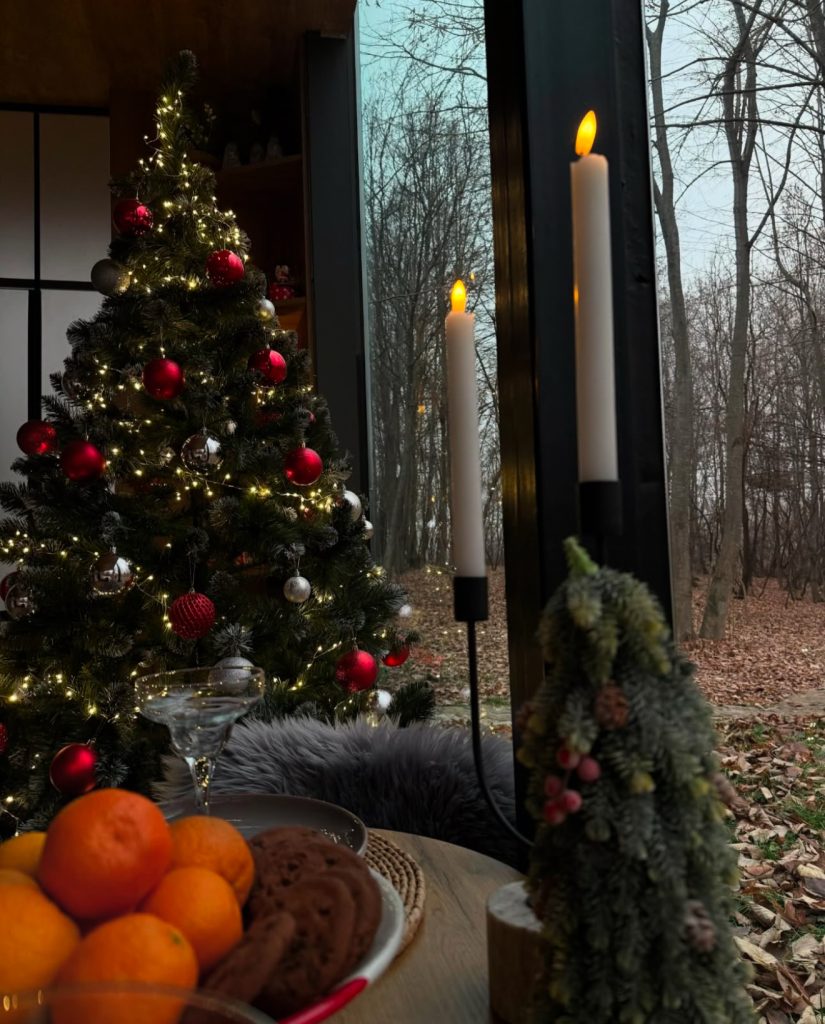 Christmas tree by large window