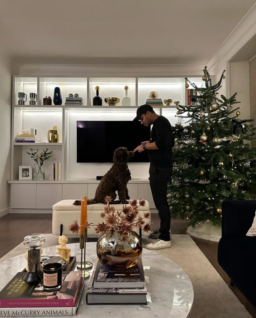 Modern minimalist Christmas living room