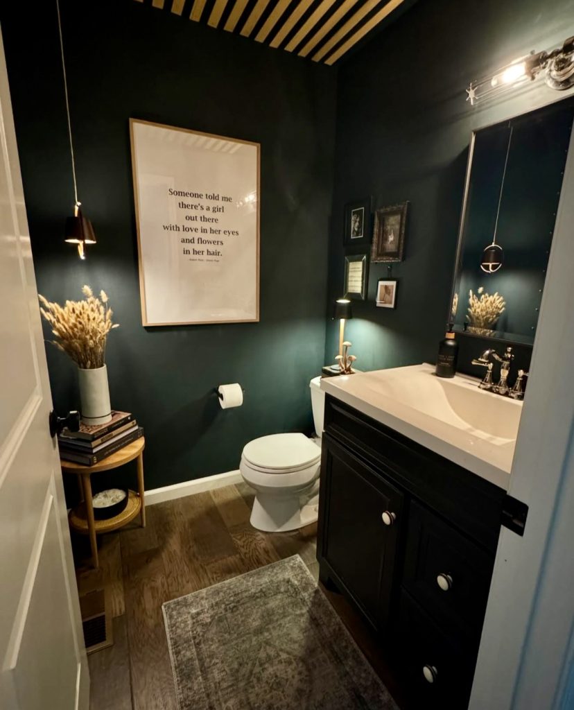 Dark-toned guest bathroom with rustic accents
