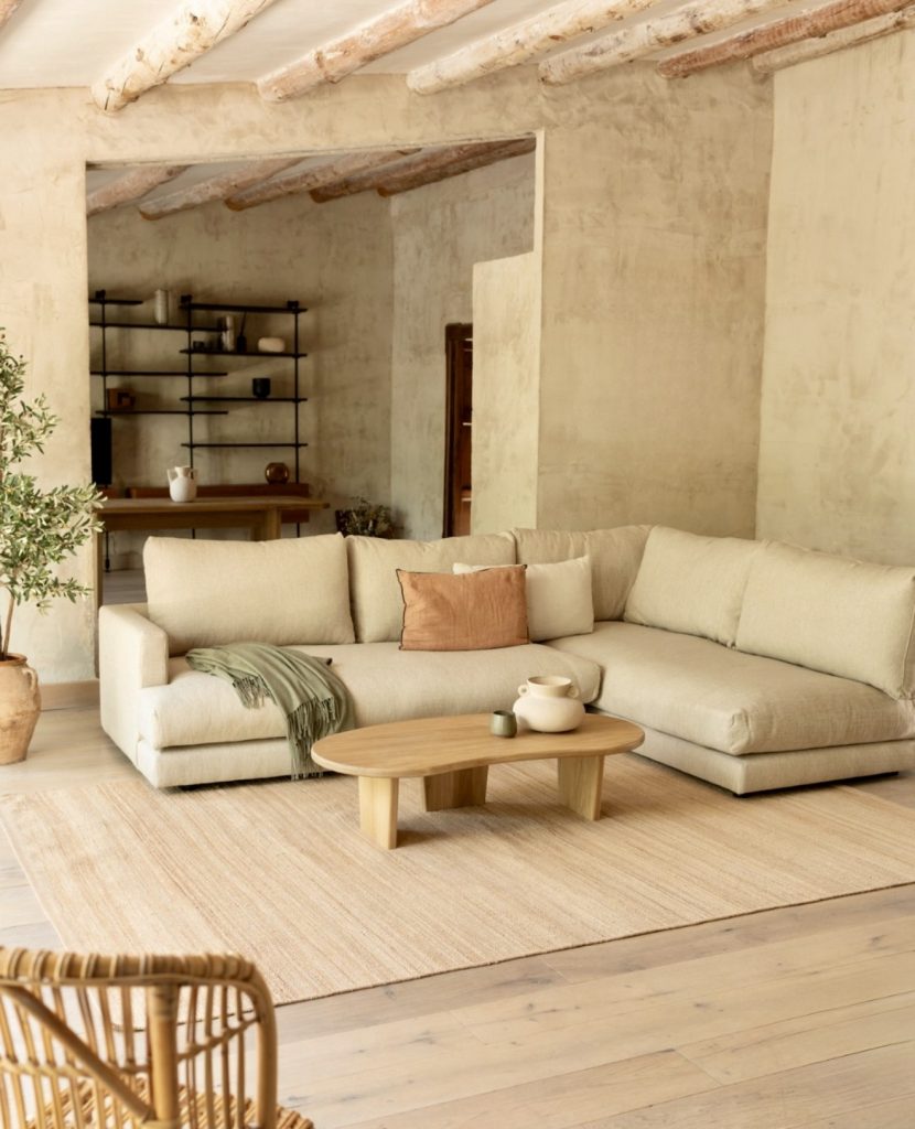 Rustic Earthy Minimalist Living Room