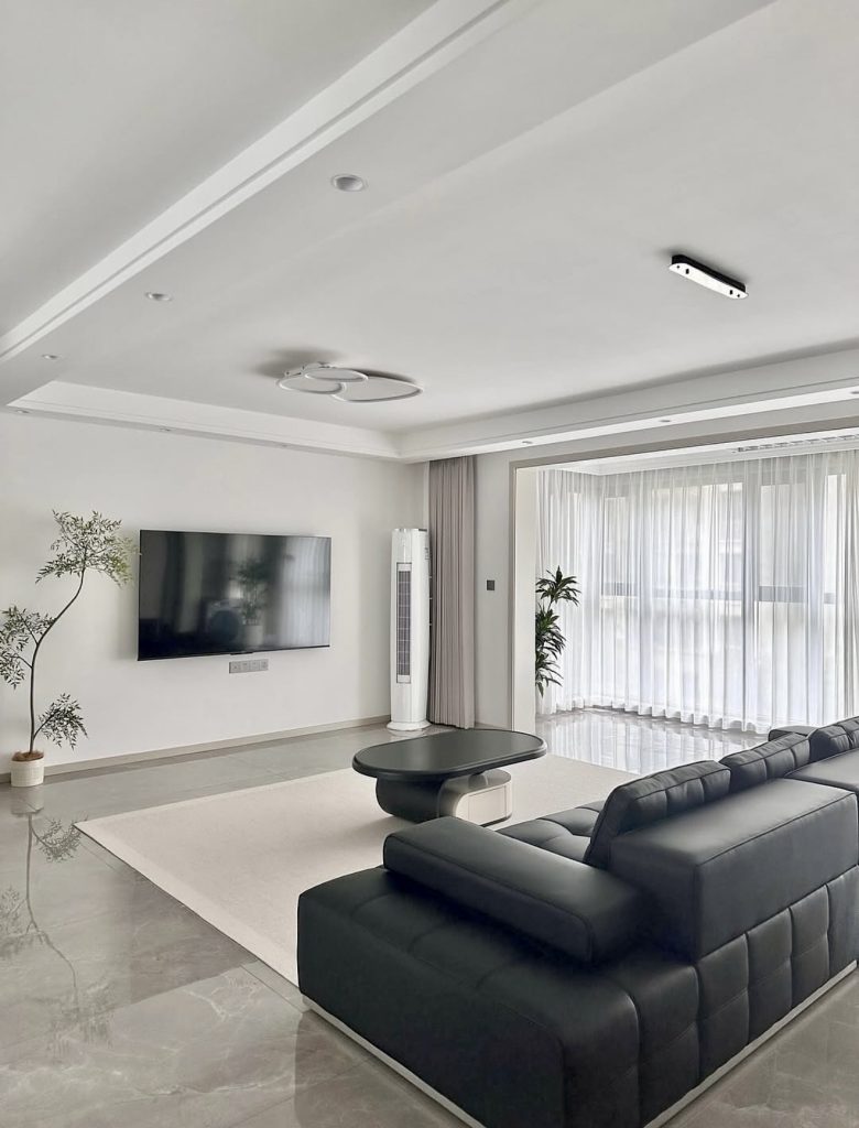 Airy Contemporary Minimalist Living Room