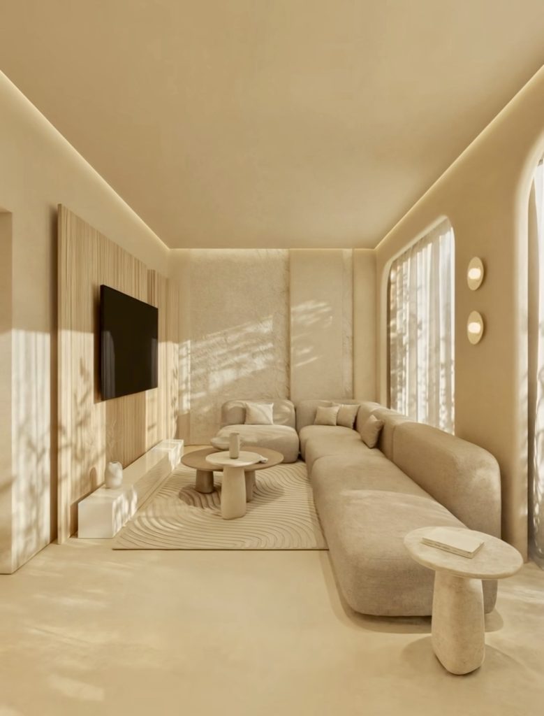 Modern Organic Minimalist Living Room
