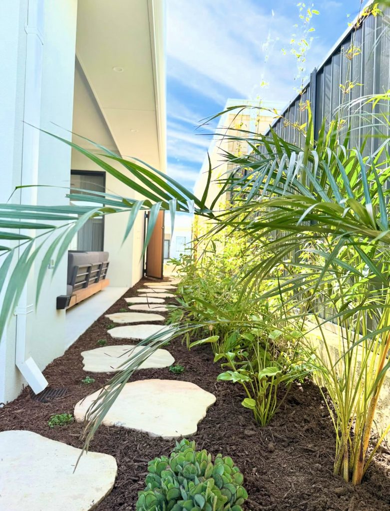 Tropical side yard path