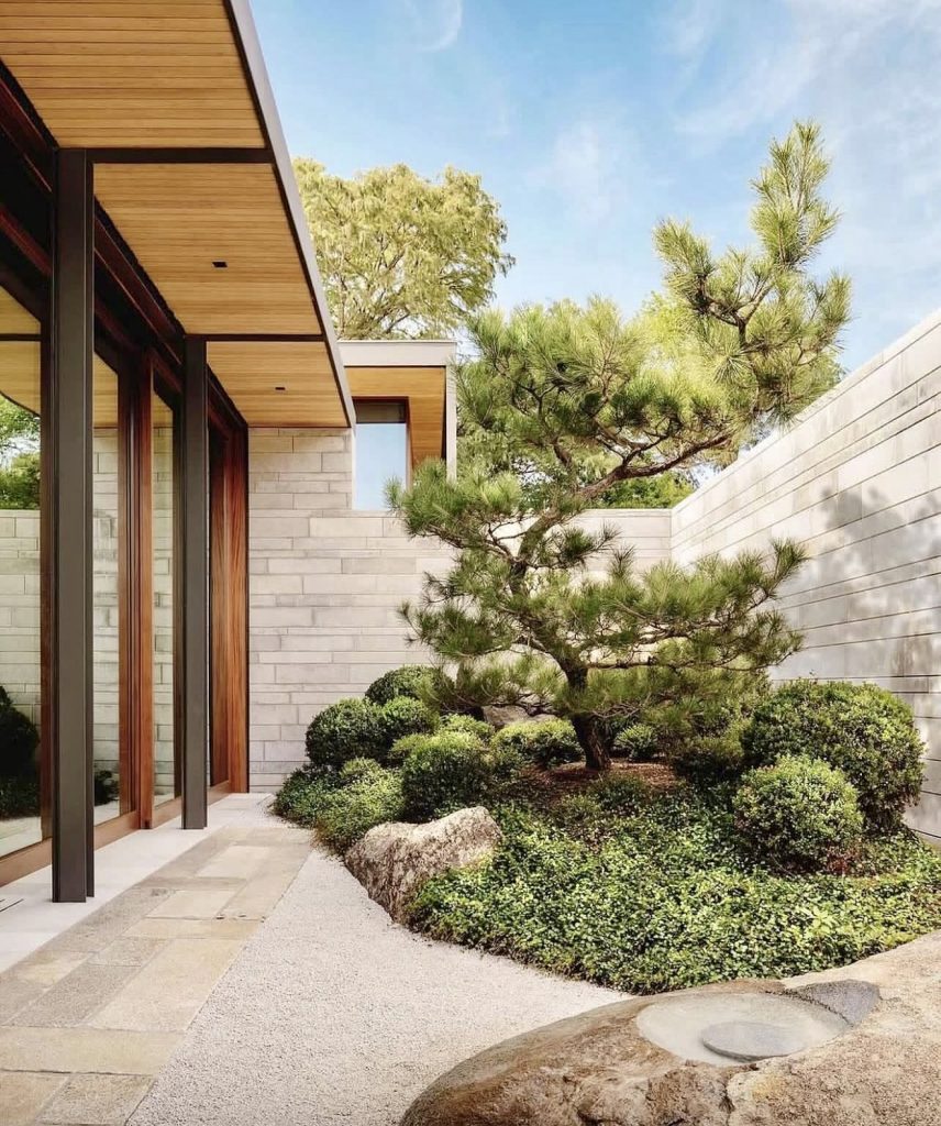Zen garden with pine tree