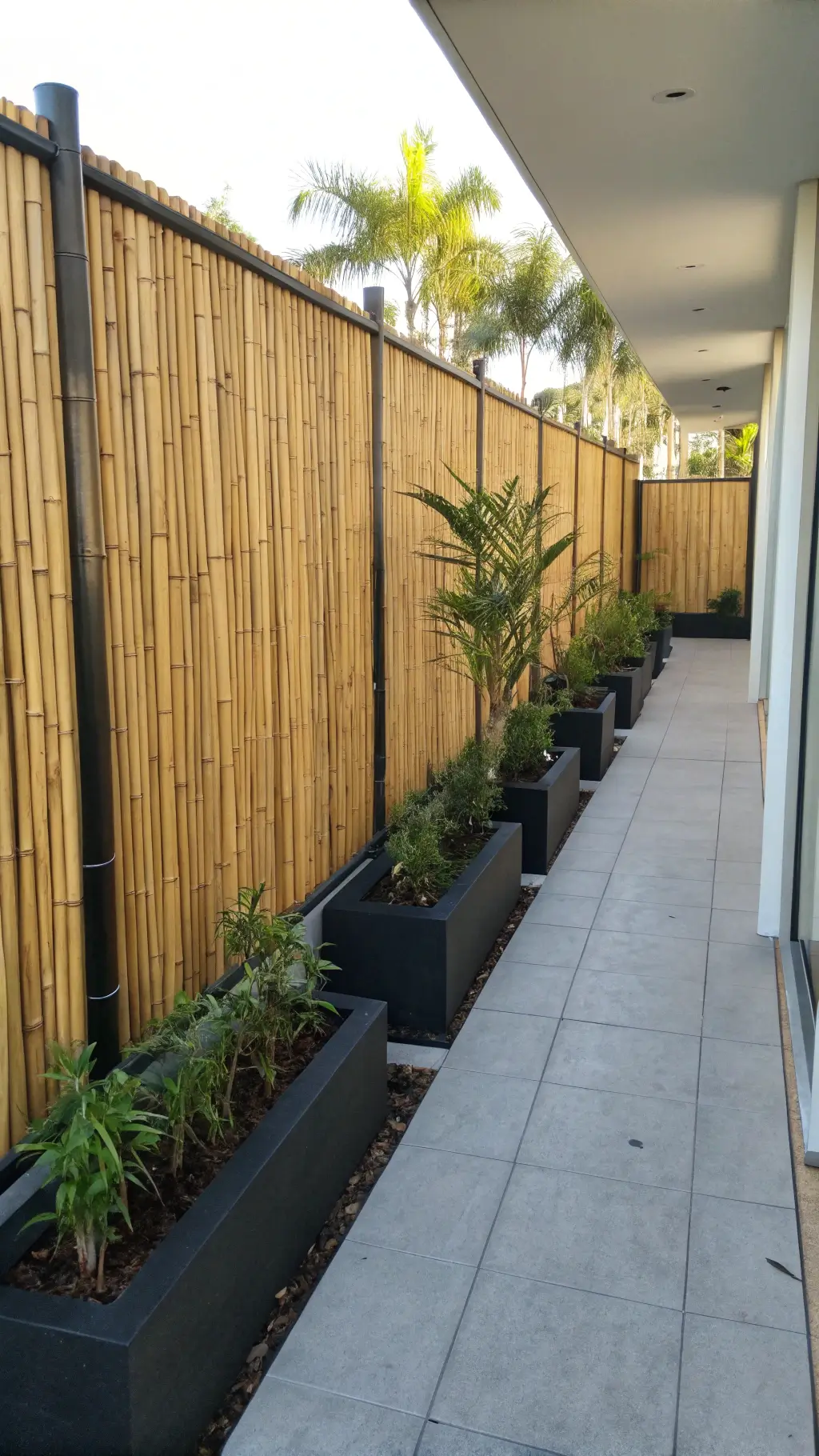 modern bamboo privacy screen on a concrete patio with charcoal-painted posts and tropical plants in minimalist black planters