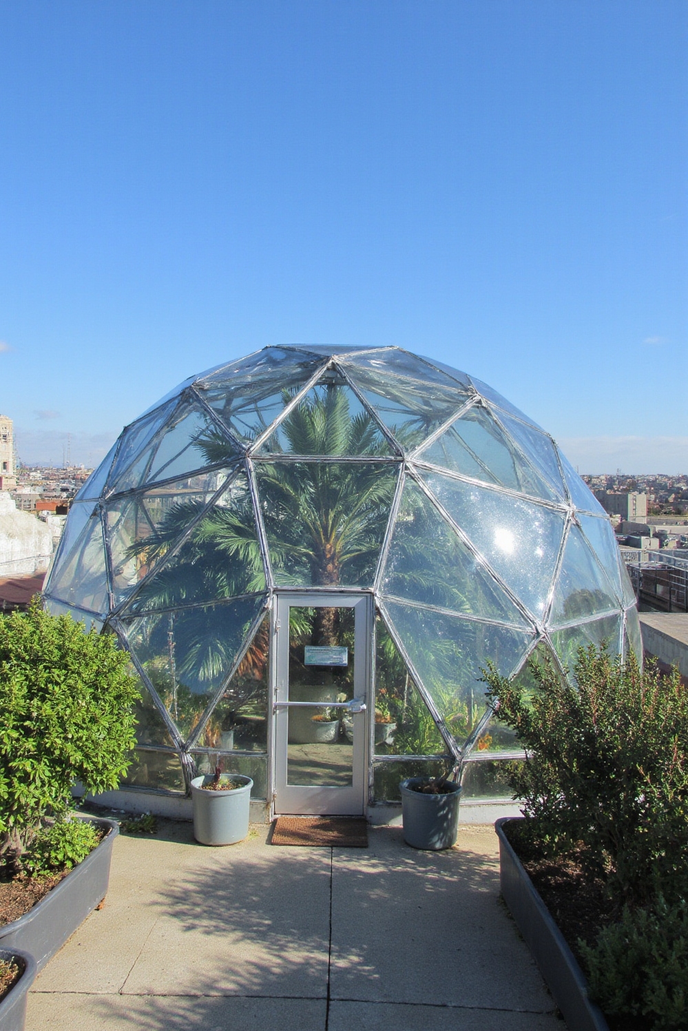 urban garden ideas - Progressive Geodesic Urban Greenhouses - Sunlight glints off the multifaceted surface of a...