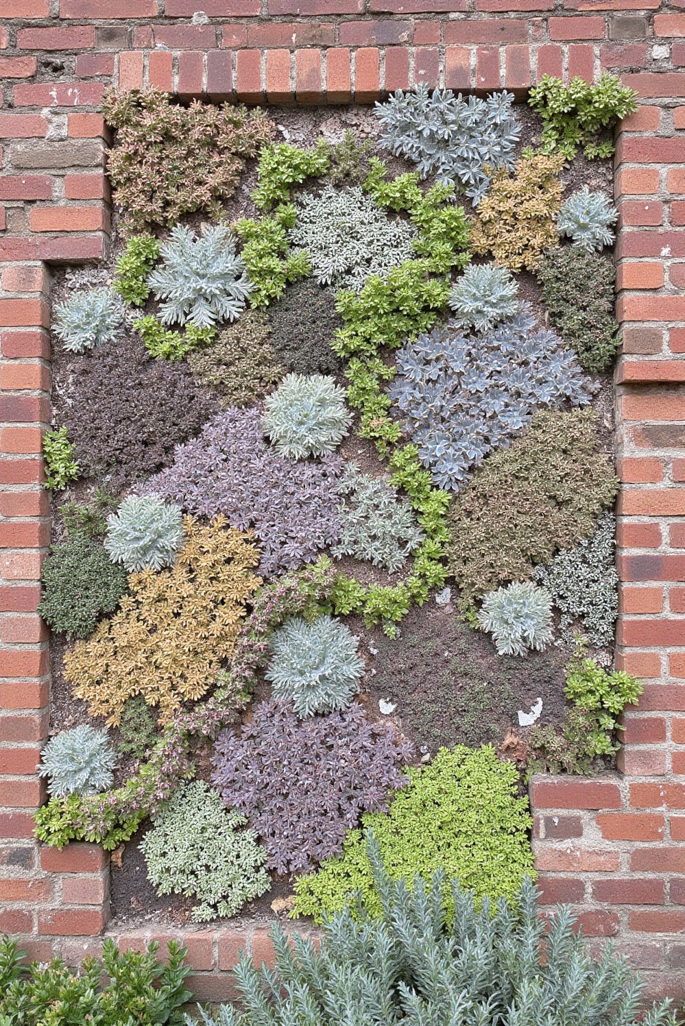 urban garden ideas - Urban Succulent Wall Gardens - A weathered brick wall bursts to life with...