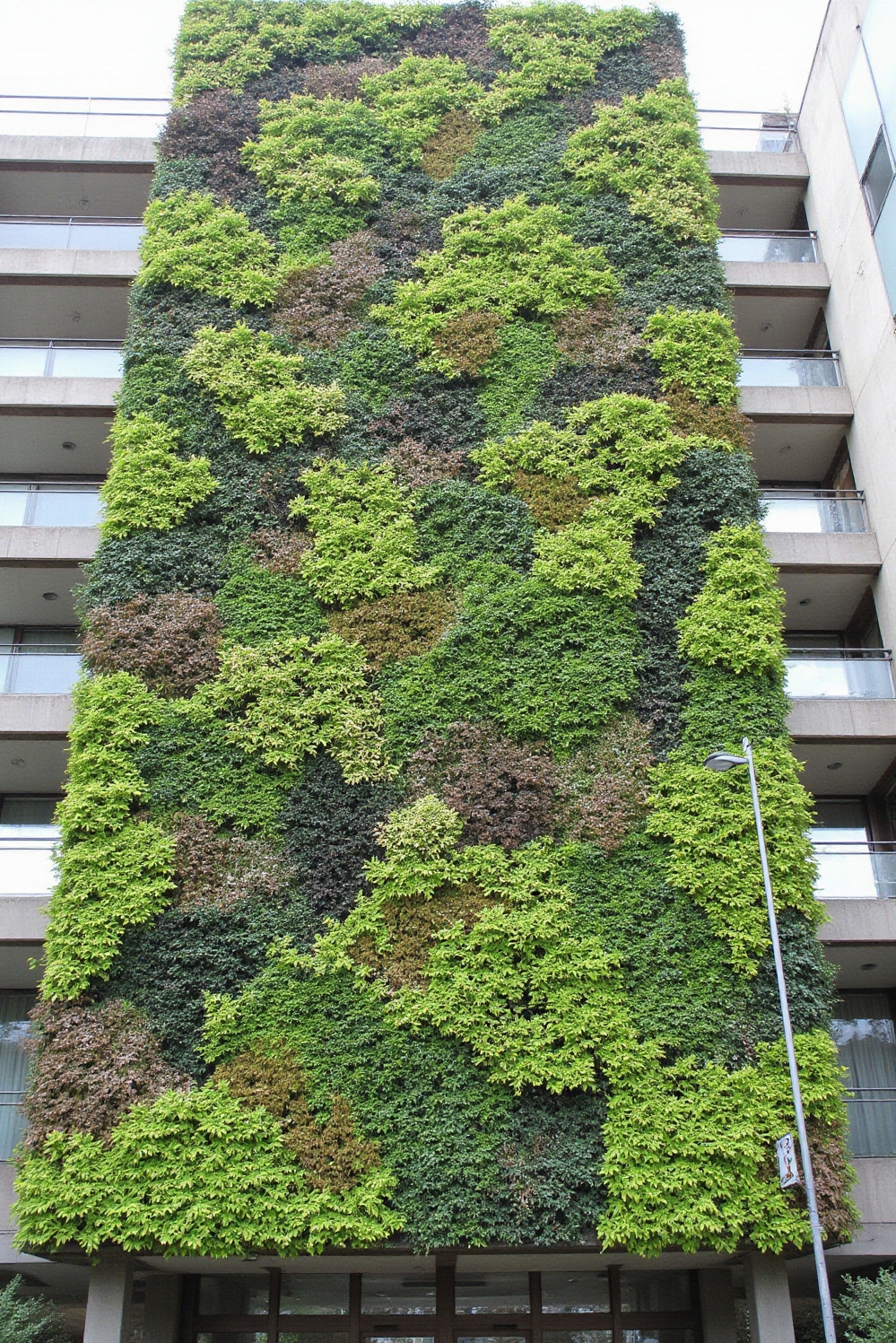 urban garden ideas - Awe-Inspiring Vertical Gardens - Sunlight bathes a contemporary building in a soft...