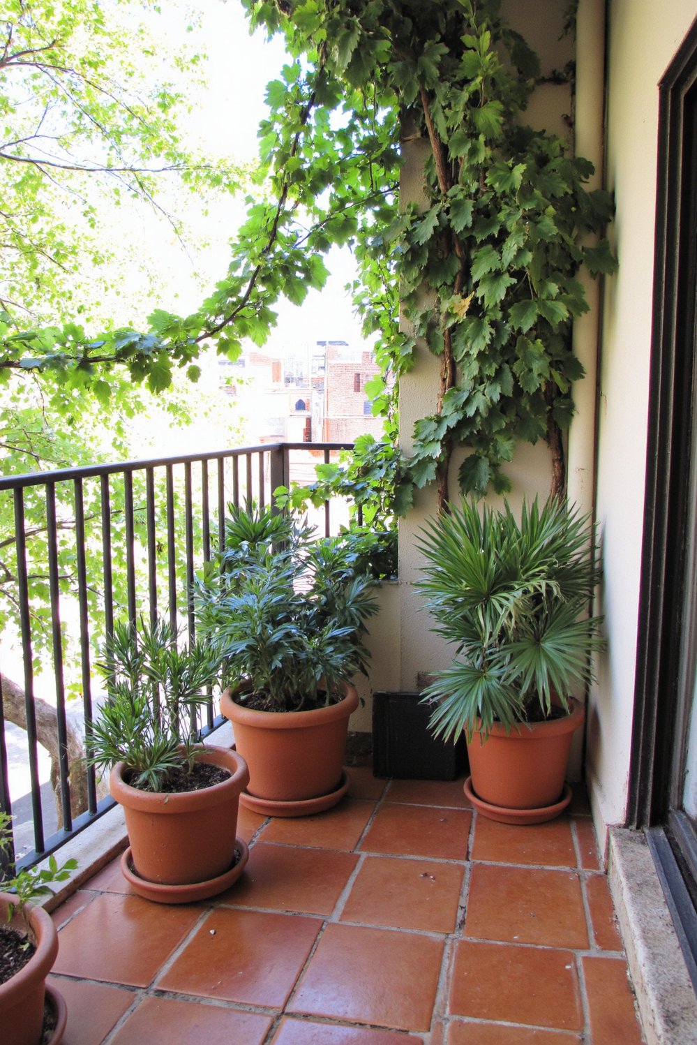 Balcony flooring ideas - Mediterranean Warmth: Terracotta Tiles for Inviting Balcony Spaces - Embrace a Mediterranean feel with terracotta flooring...