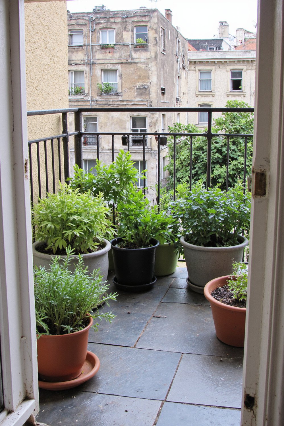 Balcony flooring ideas - Cozy Garden Escape: Herringbone Slate for Compact Balconies - Turn your small balcony into a peaceful garden retreat...